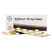 안드로쿨정 50mg 50정 (Androcur 50mg Tablet)