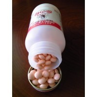 이노치노하하A(840정)
